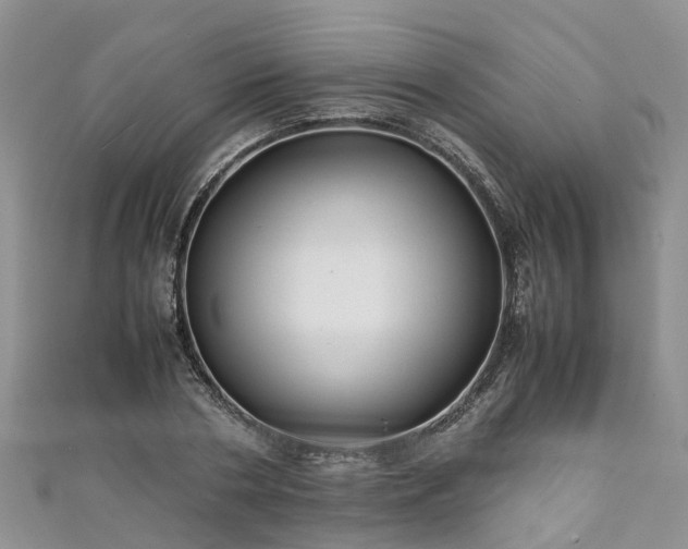 X0000110950786200906261320