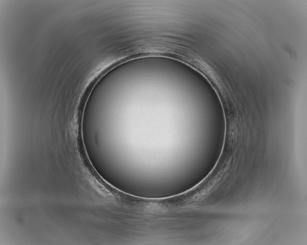 X0000110950787200906261320