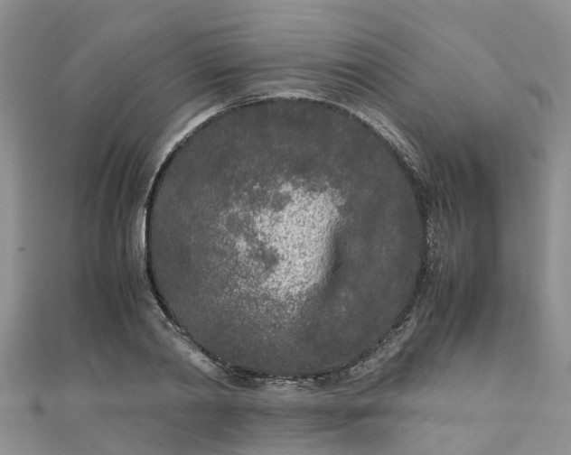 X0000110950790200906261320
