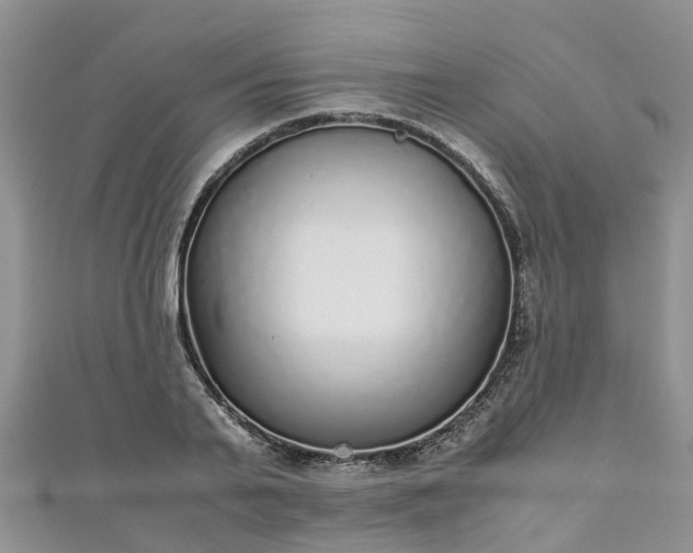 X0000110950791200906261320