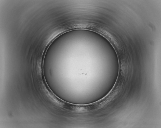 X0000110950794200906261320