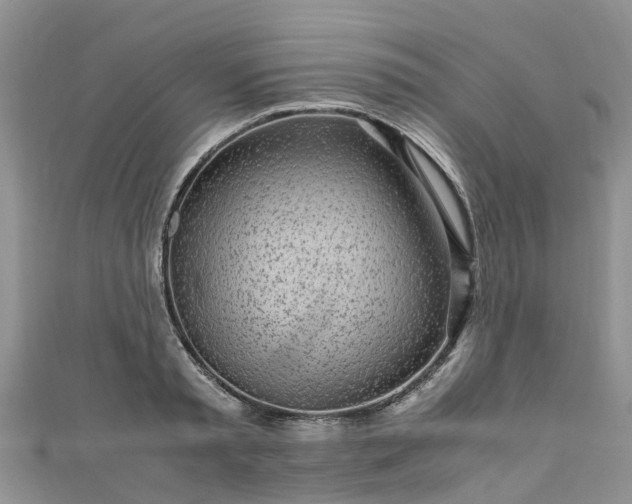 X0000110950797200906261320