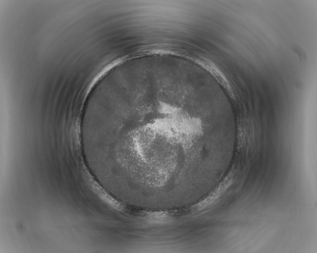 X0000110950798200906261320