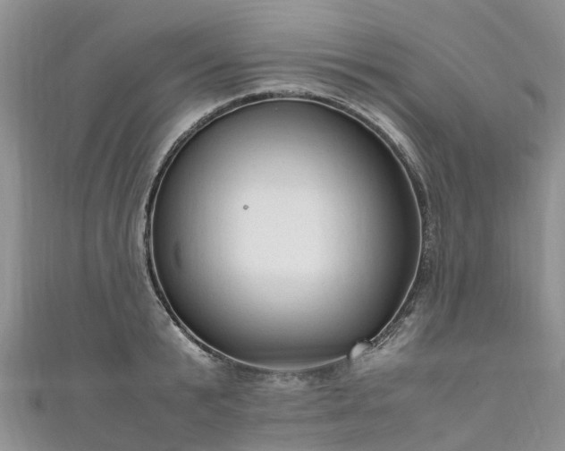 X0000110950799200906261320