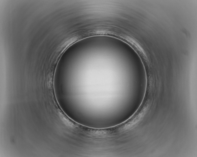 X0000110950801200906261320