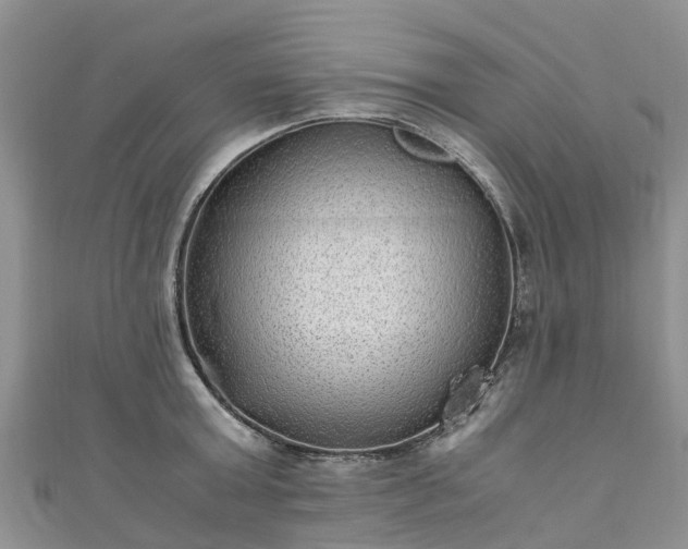 X0000110950803200906261319