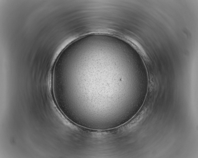 X0000110950804200906261319