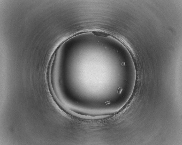 X0000110950805200906261319