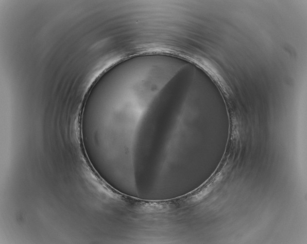 X0000110950806200906261319