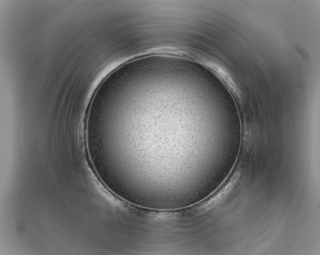 X0000110950808200906261319