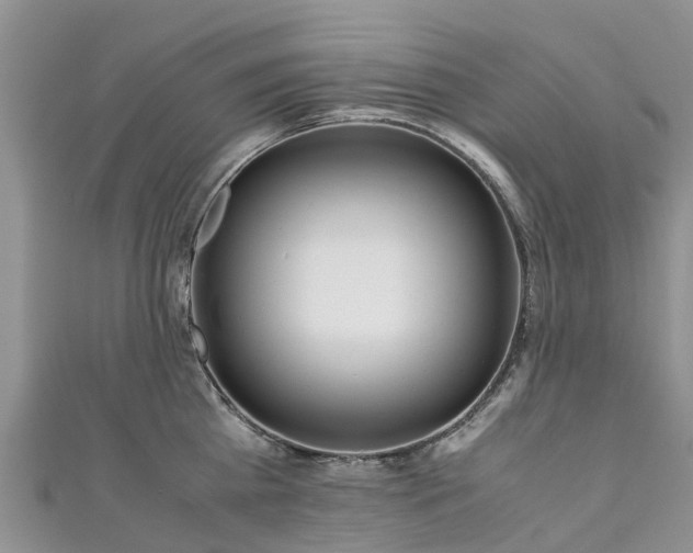X0000110950809200906261319