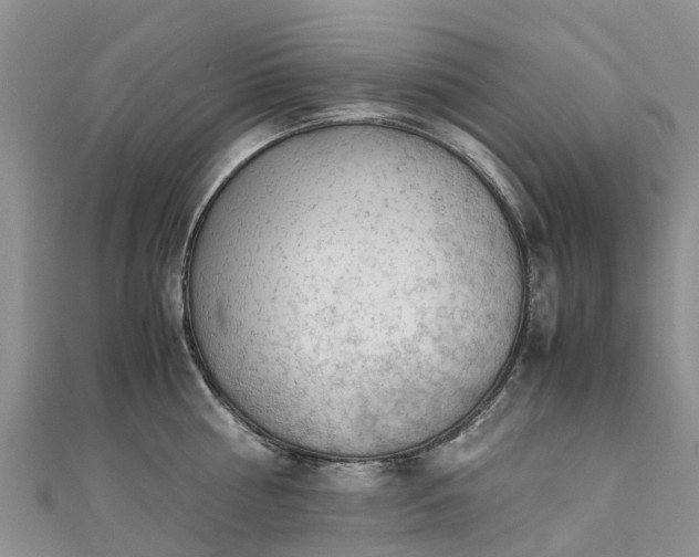 X0000110950810200906261319