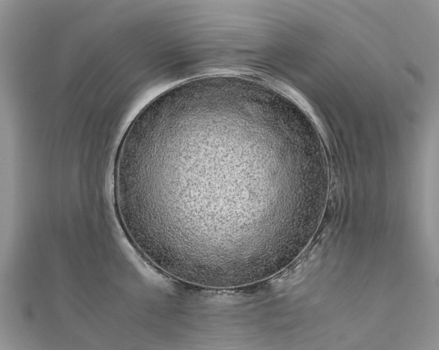 X0000110950811200906261319