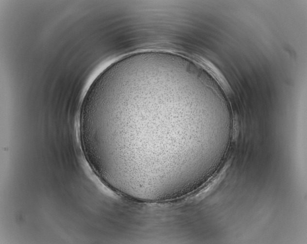 X0000110950812200906261319