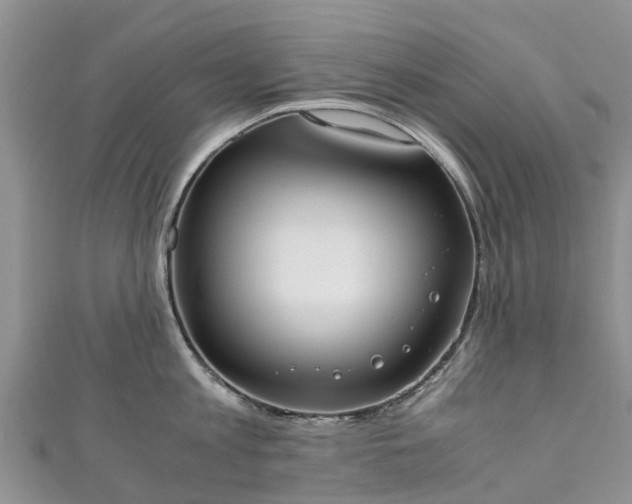 X0000110950813200906261319