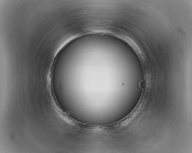 X0000110950814200906261319