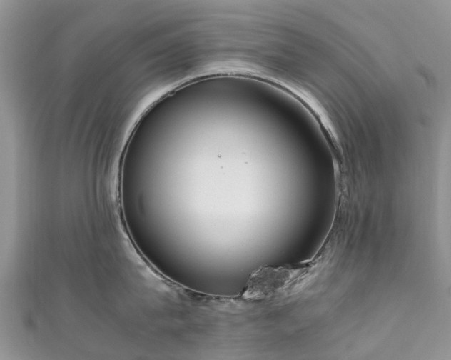 X0000110950815200906261319