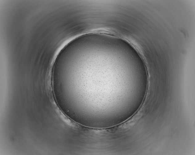 X0000110950816200906261319