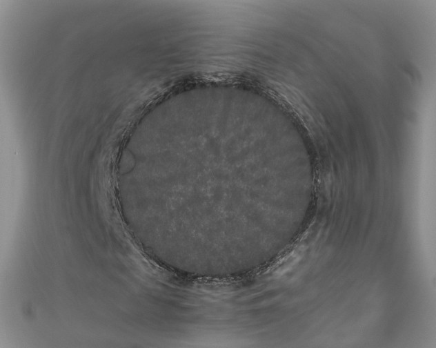 X0000110950817200906261319