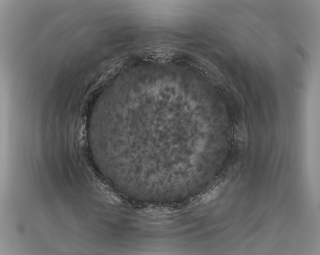 X0000110950818200906261319