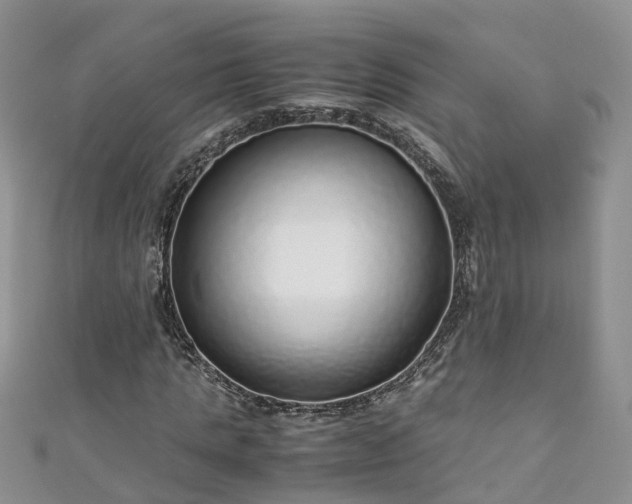 X0000110950821200906261319