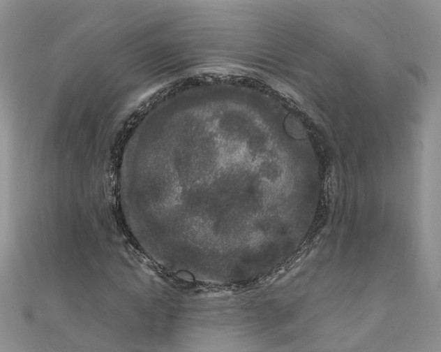 X0000110950822200906261319