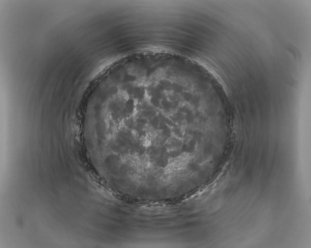 X0000110950823200906261319