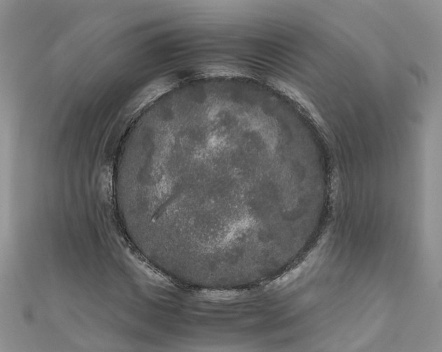 X0000110950825200906261319