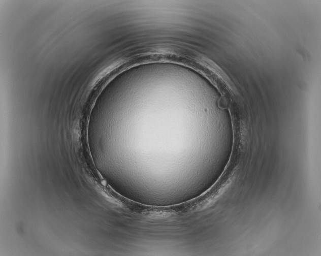 X0000110950826200906261319
