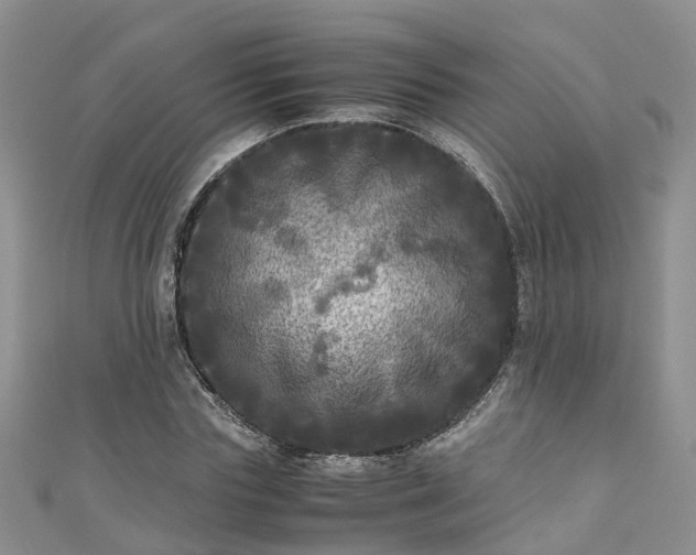 X0000110950827200906261319