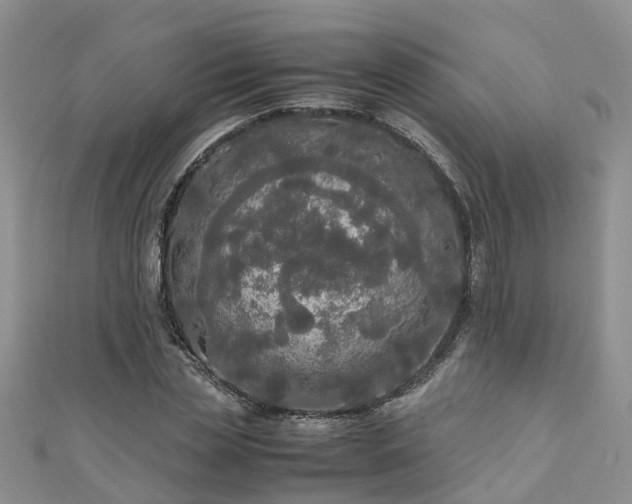 X0000110950829200906261319