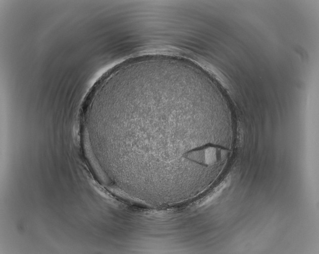 X0000110950830200906261319