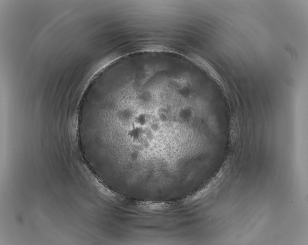 X0000110950831200906261319