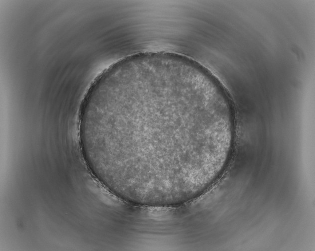 X0000110950832200906261319