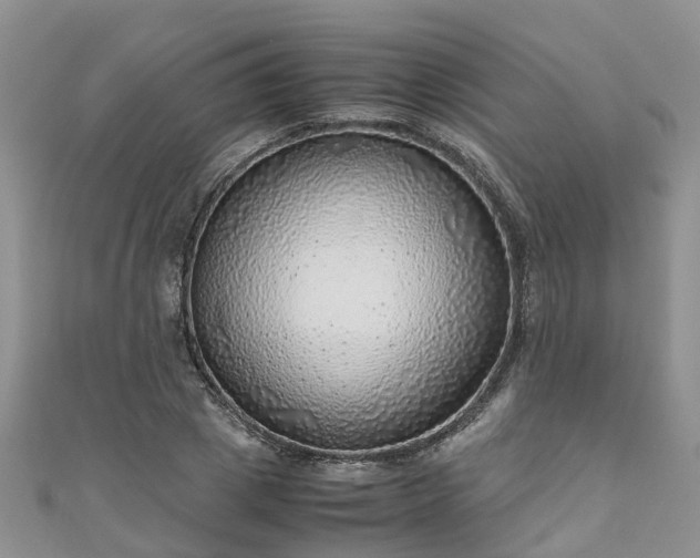 X0000110950833200906261319