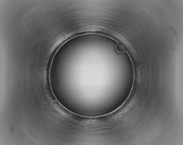 X0000110950834200906261319