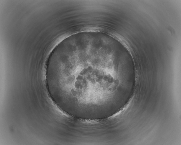 X0000110950835200906261319