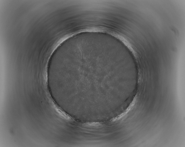 X0000110950837200906261319