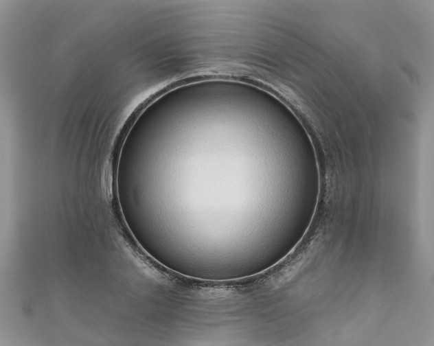 X0000110950838200906261319