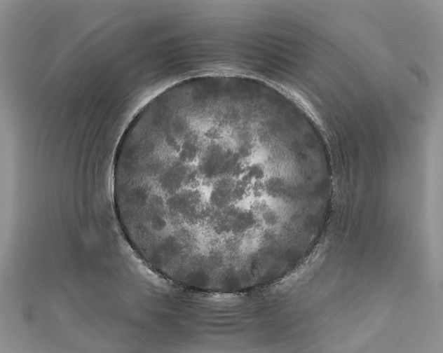 X0000110950839200906261319