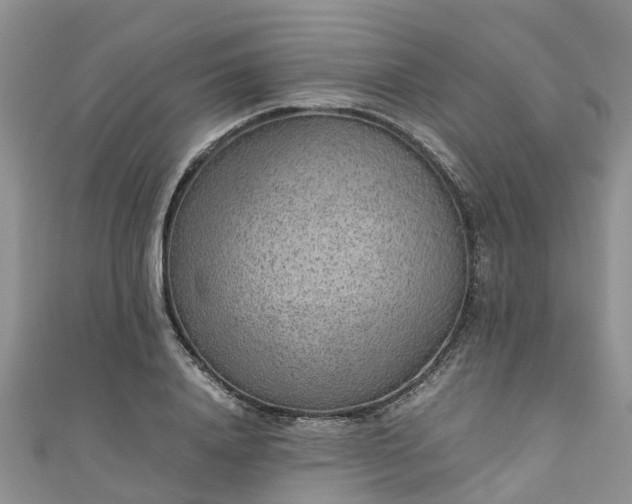 X0000110950840200906261319