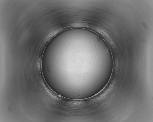 X0000110950841200906261319