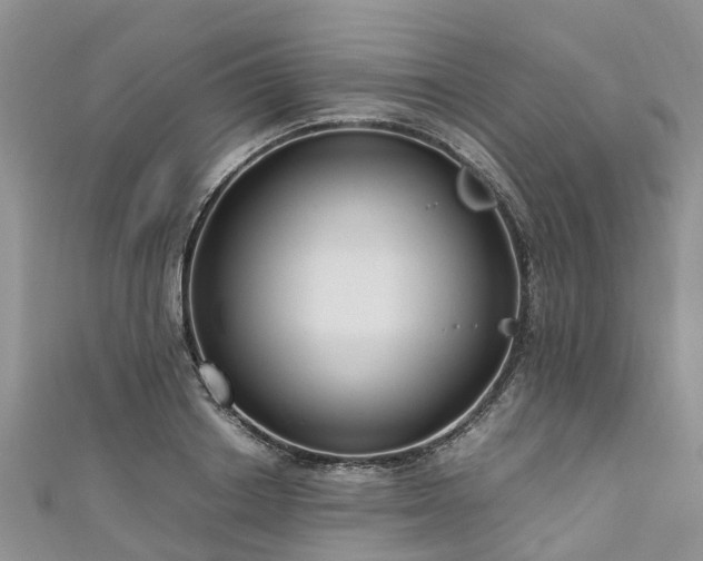 X0000110950842200906261319