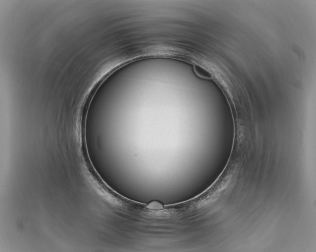 X0000110950843200906261319