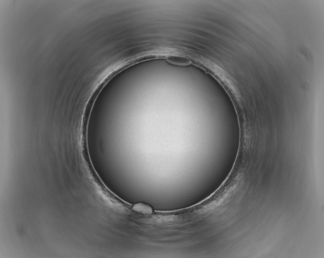 X0000110950845200906261319