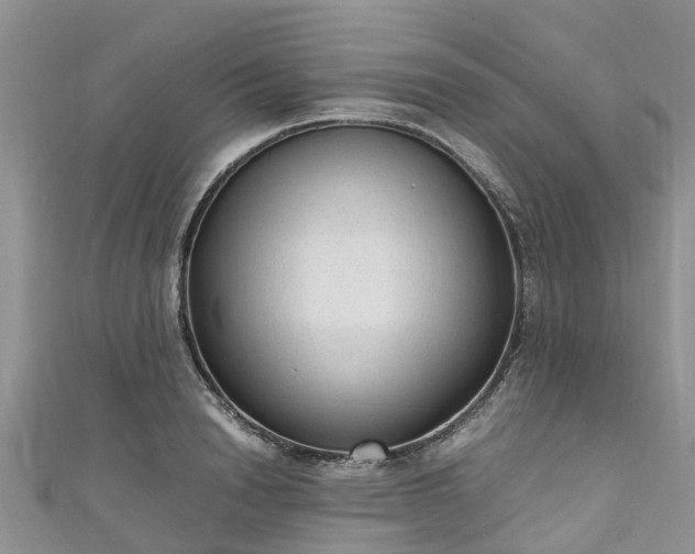 X0000110950846200906261319