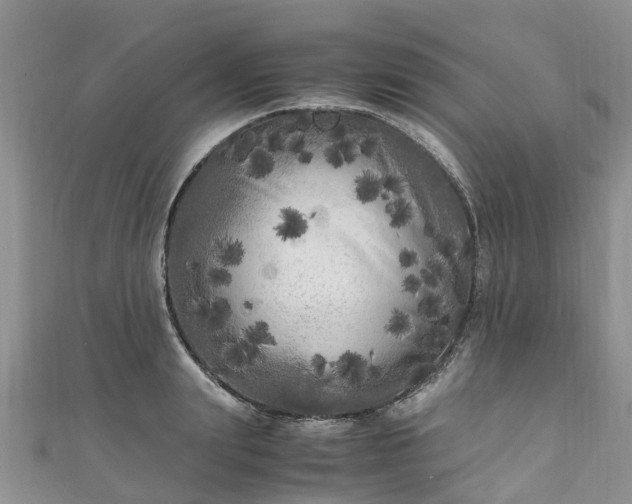 X0000110950847200906261319