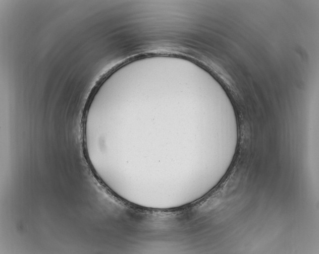 X0000110950848200906261319