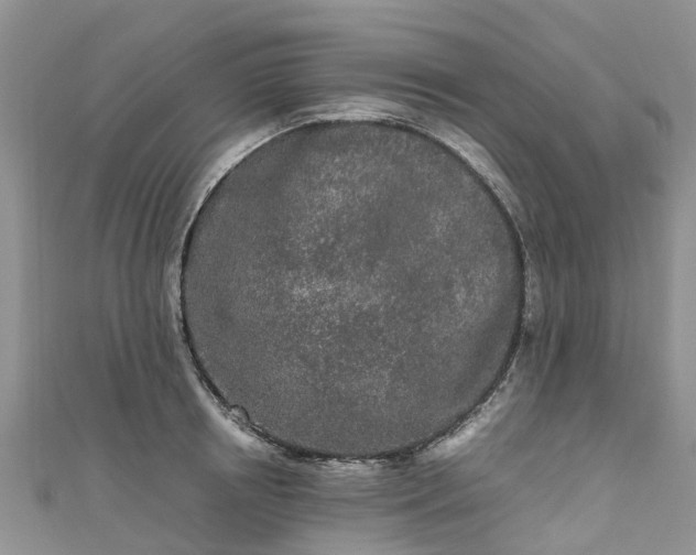 X0000110950850200906261319