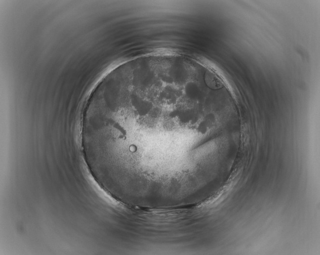 X0000110950851200906261319
